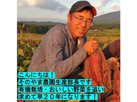 ニシユタカ＆紅はるか　2025年産　訳あり　たっぷり6ｋｇずつの12ｋｇ入り！　貯蔵して超絶美味しい！　有機JAS　いもいもセット　そのやま農園