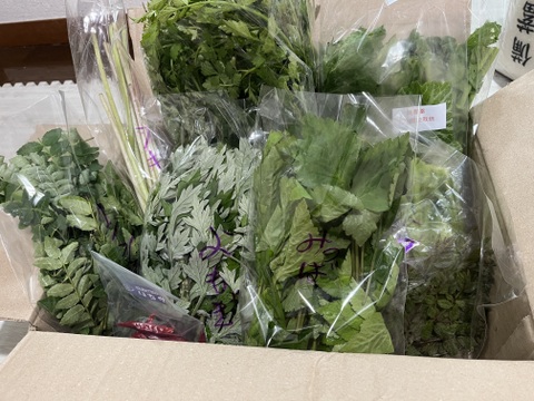 【母の日ギフト】春の味覚山菜野草や春野菜セット フキノトウ、タラの芽、野萱草、ユキノシタ、菜花などなど春の味覚をお送りいたします