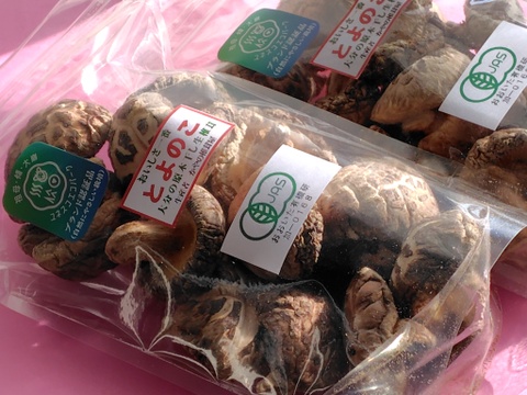 乾しいたけとよのこ（戻しいらず　大分産の肉厚どんこ　１００ｇ入り２袋　 ビタミンDが豊富）