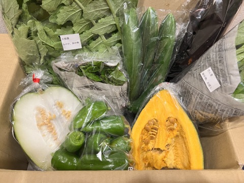 ♪人気商品♪『農薬、化学肥料不使用』【2~3人前】
季節の野菜Sセット（8-9品）「群馬県高崎産」