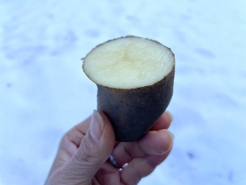 【有機】甘みとろける！越冬熟成ジャガイモ『メークイン』2kg