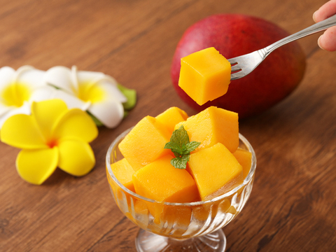 ★数量限定のお試しセール★【食べチョク限定：家庭用】樹齢25年以上の木からなる糖度約17～18度の完熟マンゴー（2玉：0.8kg～1kg）