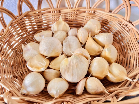 オーガニックホワイト六片 〈バラ売り〉200g🧄有機栽培🌿Organic Piece of Garlic