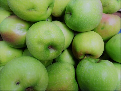 グラニースミス家庭用（約4.5㎏）14～25玉
欧米で青りんごといえばこれ　
形やキズなどで贈答用になれなかったりんごたち
バラ詰めでお届け