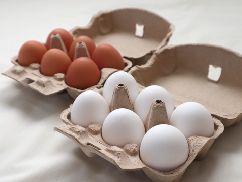 【福袋2025】『富山県のお米で育った鶏』が自慢です！ひら飼い 米寿の卵 紅白特別セット 白玉6個入×4パック・赤玉6個入×4パック (合計48玉)