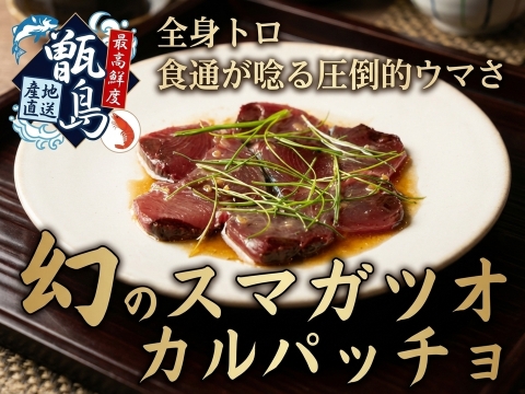 【全身トロの濃厚×カルパッチョの爽やかさ】食通も唸る衝撃のウマさ誇る『幻のスマガツオカルパッチョ』業界初パウダースノー冷凍で最高鮮度本格刺し盛り🐟甑島ブランド【冬ギフト】【12月下旬予約】