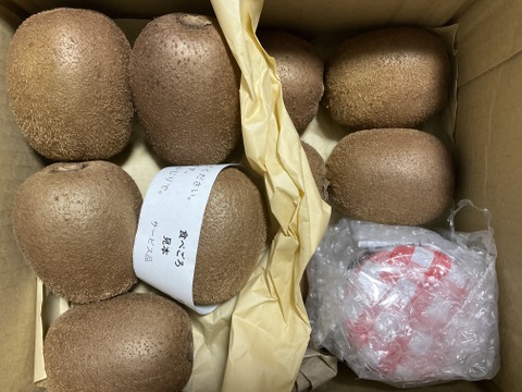 手でむける！あま～いグリーンキウイフルーツ 中玉 1kg〈農薬・化学肥料不使用〉