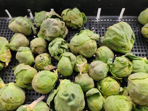 ✨農薬・化成肥料不使用✨芽キャベツ約200g＋キャベツ1玉＋スティックセニョール約400g🌱冬のあったか食卓セット😊