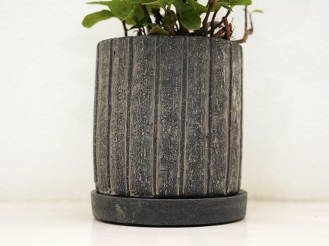 ミニ盆栽【ヤブコウジ × 黒縦陶器】高さ27cm×横18cm（夜市限定）