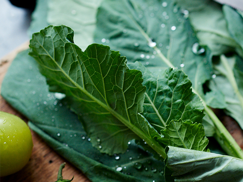 【機能性表示食品セット】高めの血圧が気になる方へ。ぼやけ、かすみが気になる方へ。旬搾り青汁GABAケール、ソフトケールGABA、カーボロネロルテイン「健康に気をつけて元気でいてね！」【母の日ギフト！】
