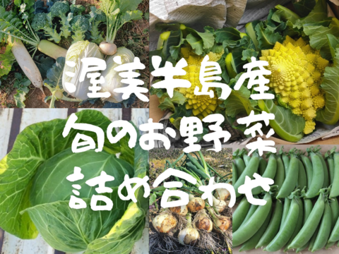 渥美半島産＊旬のお野菜詰め合わせ(５品種以上)