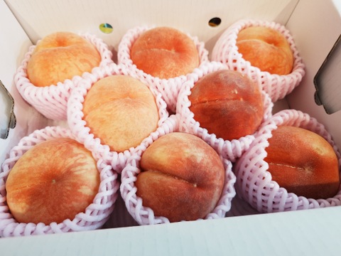 お買い得!まるせい果樹園の桃　中生種【おまかせ】2kg(6～11玉入り)自家用　贈答用  om2