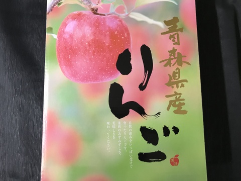 【贈答用・数量限定】青森県産りんご「サンふじ」贈答用 約3kg【光センサー選果済】