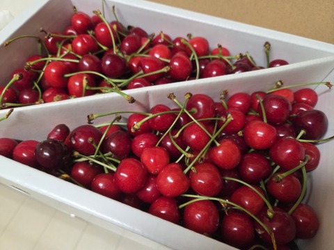 1kg☆名和果樹園の訳あり家庭用紅さやか（佐藤錦×セネカの交配種