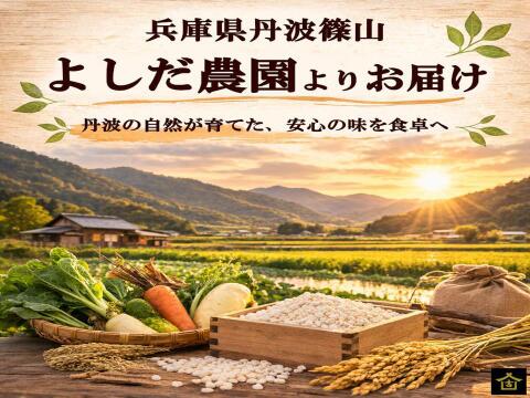 丹波篠山産米使用 手作り米麹 500g 甘酒・塩麹・醤油麹・味噌づくりに 農園直送 よしだ農園 発酵食品 無添加 こうじ