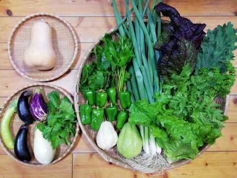【農薬化学肥料不使用】おまかせ野菜セット【８種類以上の野菜】【金曜日発送】【熨斗(のし)対応可】【８０サイズ箱】