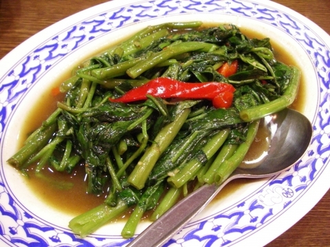 「ホワイト空心菜」で食卓に彩りを！ 【１００ｇ×５袋】