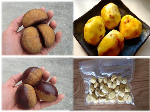 【甘い熟成むき栗 岸根極大粒】ねっとり甘い岸根栗をもっと甘くする氷温熟成むき栗　岸根 真空パック冷凍　むき栗1パック300g入り