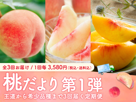 【売り切れ】【限定200セット】3種の桃だより第1弾（食べチョク公式）