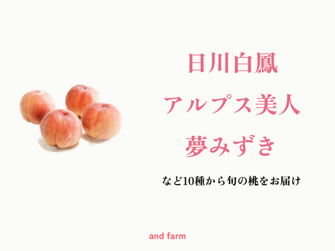 【予約】【7月中旬発送】桃好き必見！桃のリレーが楽しめる！季節の【桃】おうち用（もも）お試しセット 2kg 約8~10玉