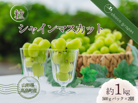 【粒売り】香り華やか贅沢『シャインマスカット』（２パック・合計約１kg）