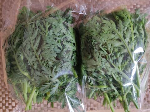 🌸春のやさしい副菜セット｜絹さやエンドウ約80g＆春菊約300g｜炒めて・和えて簡単一品｜農薬・化成肥料不使用🌸