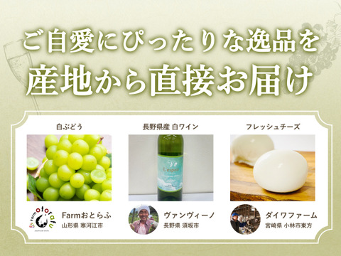 【限定25セット】 ご自愛セット／白ぶどう🍇（食べチョク公式）