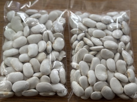 北海道産　白花豆　500g（250g✖️2p）