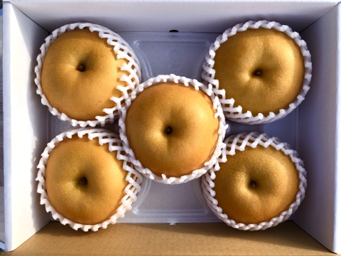 甘くてジューシー　あきづき2.5kg(5〜7玉)