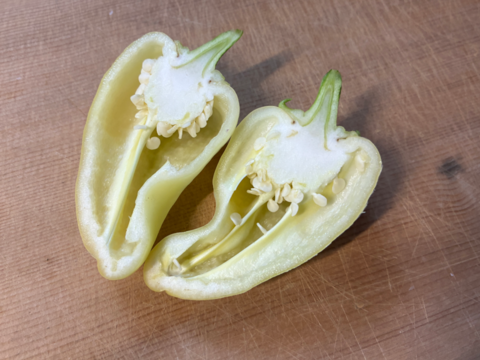 【土曜出荷：出荷先制限】『夏野菜セット(小)』 (調理トマト10個+ピーマン10個+ナス5本)