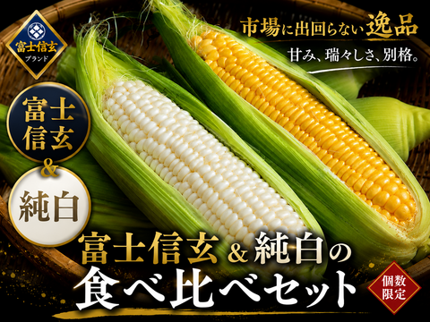 【さとふる人気急上昇ランキング1位達成】TBSラヴィット！出演話題『黄金×純白の富士信玄食べ比べセット』約1.5kg☆食のプロも唸るとうもろこし【お中元ギフト】【朝どれ】🌽7月中旬予約🌽