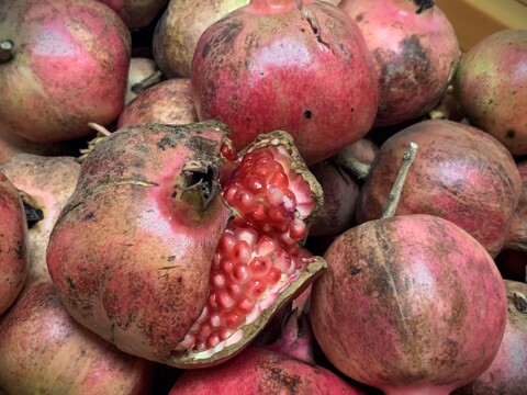 【自然栽培】稀少な国産生ざくろ 3kg以上★農薬・肥料不使用｜ザクロ｜柘榴