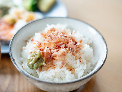 【令和7年新米】【隔月6ヶ月定期】新潟県保内産コシヒカリ 4.8kg