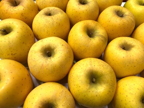 【りんご】幸せの黄色いりんご「はるか3ｋｇ」