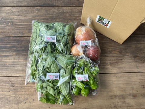 タイ料理好き必見！おうちでガパオセット☆有機JAS認証☆