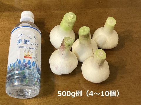 新鮮！【新ニンニク】500g；農薬、化学肥料不使用