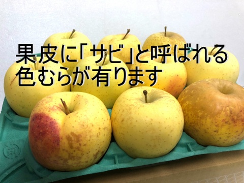 「希少!サン金星!! 」家庭用約2.7Kg青森県産 数量限定　金星　きんせい　りんご