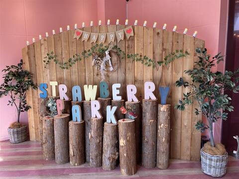 芳醇な香り！贅沢な味わいのドライイチゴ（20g×2パック）