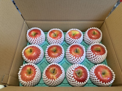 年明け発送🍎【幻の小玉第3弾】スリムレッド シャキッとジューシー 3キロ箱使用 9〜25玉程度　商品ID51599 長野県 信州 安曇野 リンゴ 幻 幻のリンゴ 予約 希少 旬