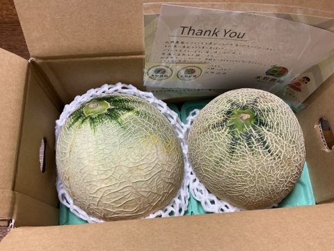 【金賞受賞】シルキーメロン『ロピア』1.6kg×２玉