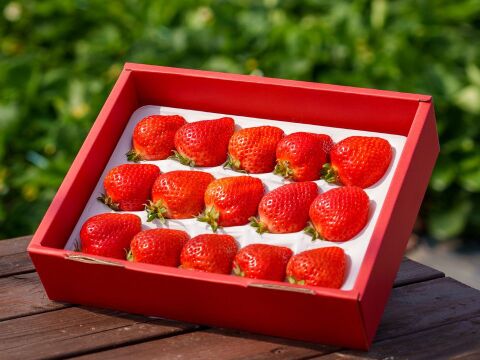 【お歳暮ギフトに】特選あまおう 400ｇ【冬ギフト】