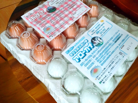 （冷蔵便）出荷当日の朝採り新鮮お届け致します！平飼い濃厚卵　アローカナ15個：純国産赤鶏あずさ15個計30個＋割れ保証