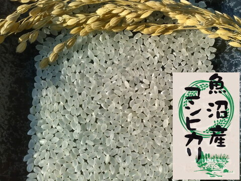 南魚沼産コシヒカリ無洗米(乾式)8kg(2k×4)令和3年産🌾