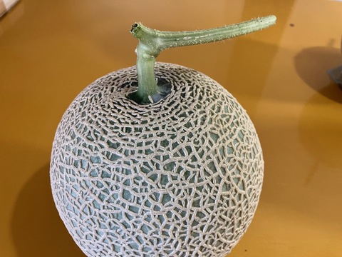 今季最終便ご家庭用マスクメロン🍈3.2kg(1.6kg×2玉・くまモン箱入り)