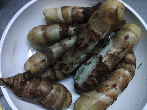 甘味が増した、ホクホクしっとり！小芋訳アリはね出しタケノコ芋(京芋)2.3Kg