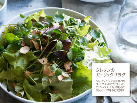 【FISH VEGGIES】サラダクレソン 30g　化学肥料/農薬不使用だから安心して食べられる