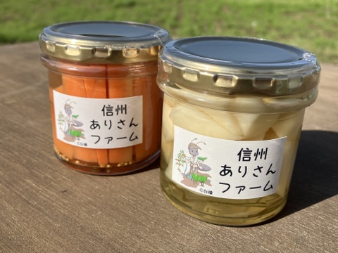 【信州産】季節の有機野菜（４品目）とピクルス（２瓶）のセット