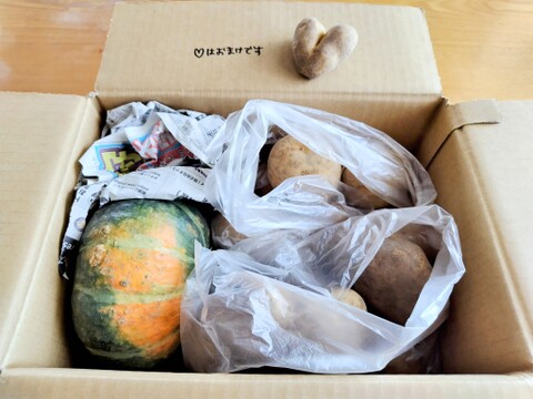 🥔🎃じゃがいも2種とかぼちゃ❗️【とうや】約1.7kg【メークイン】約1.7kg【かぼちゃ】約1.5kg合計5kg🥔🎃