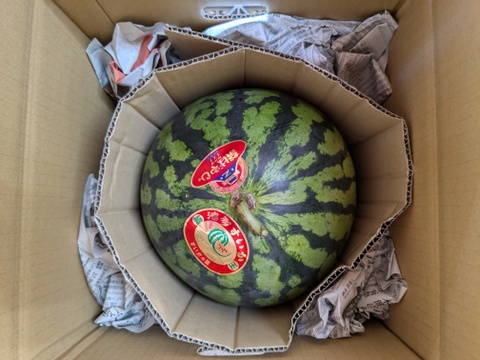 池多すいか３L、2L