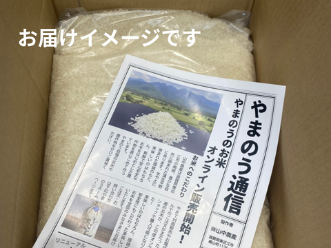 にじのきらめき　食べ比べ米付き！　【令和7年度産】滋賀県産にじのきらめき　白米10kg